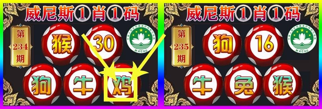 一码一肖100%准确功能,准确答案解释落实_3DM4121,127.13