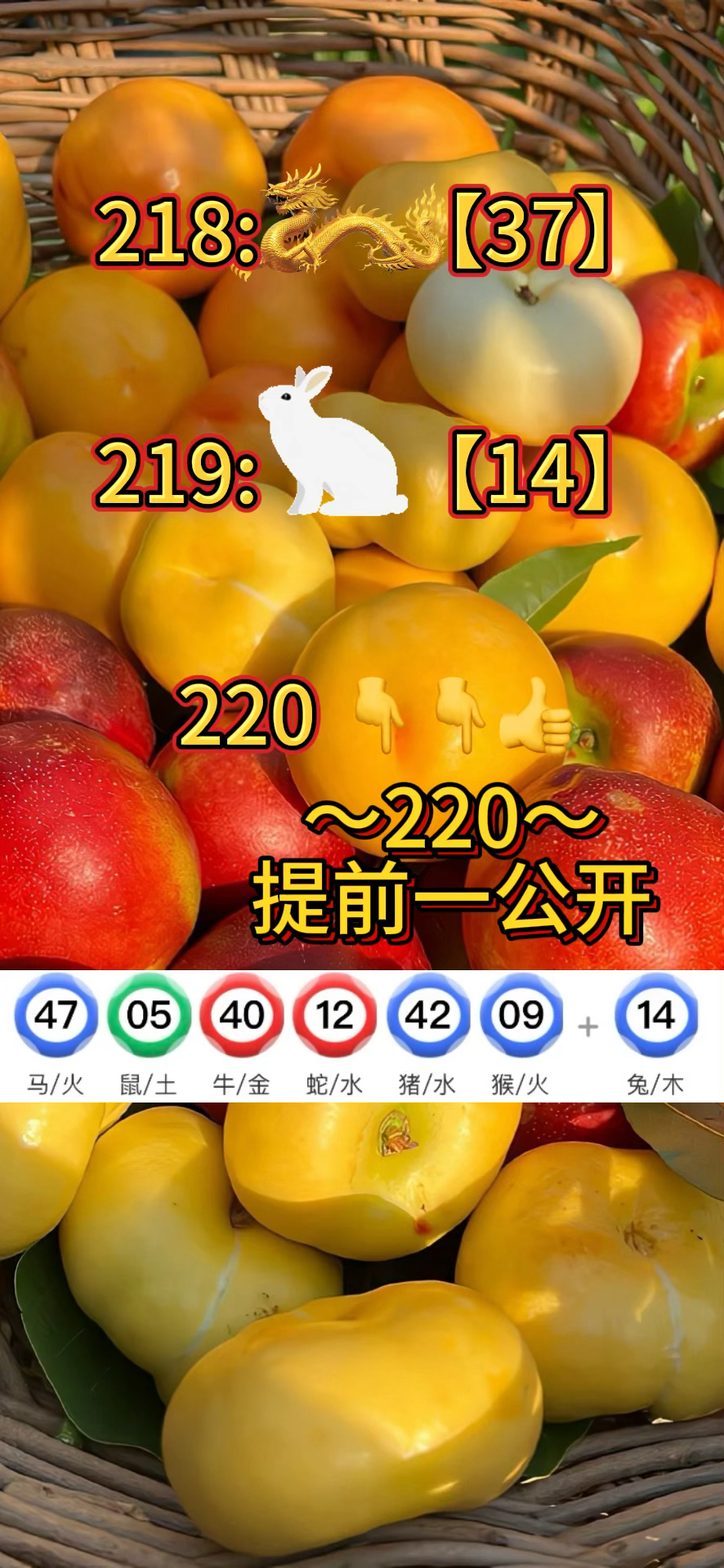 澳门资料码,豪华精英版79.26.45-江GO121,127.13