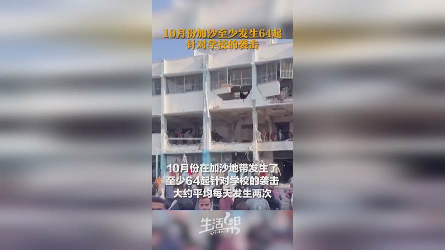 新2025澳门天天开好彩和加沙数万难民抢食物与加沙数万难民抢食物视频