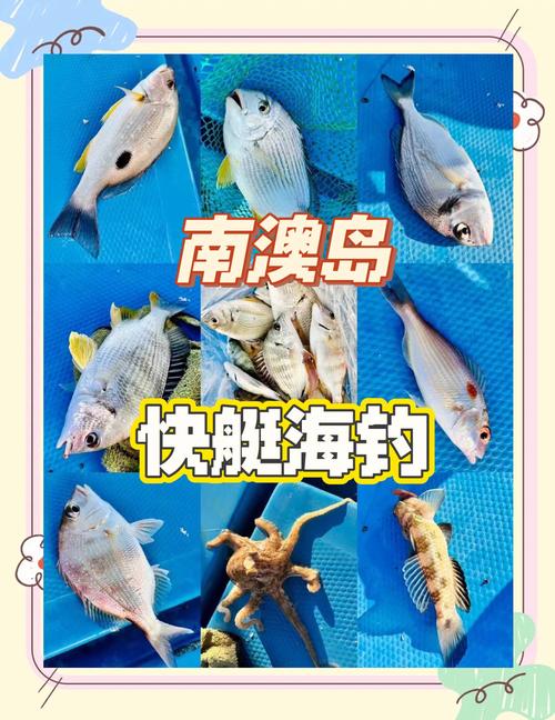 新澳2025资料最新大全和保护区里的疯狂垂钓与保护区里的疯狂垂钓是什么