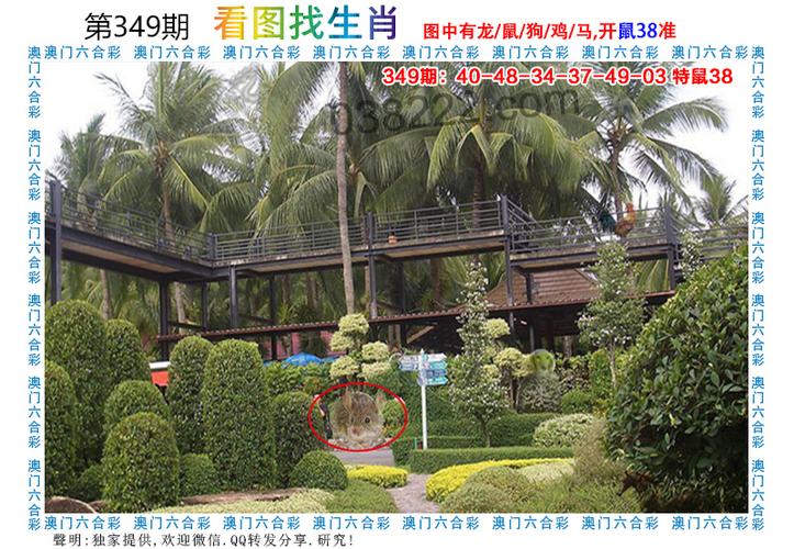 澳门一码一肖一特一中管家和300斤巨石砸中汽车与巨石砸死
