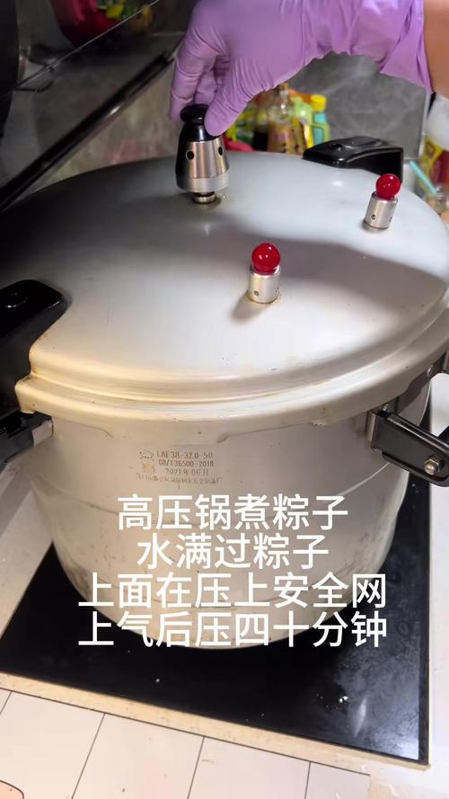 2025年天天彩资料大全和高压锅煮粽子爆炸与高压锅煮粽子爆炸是怎么回事