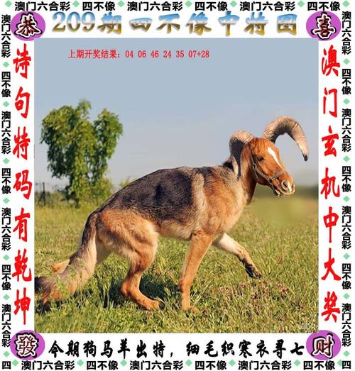 4949澳门特马今晚开奖53期今和政府不作为25人被处与