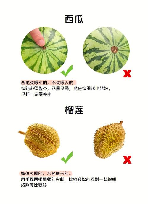 2025新澳门天天开奖记录下载和这几种水果买就后悔与买哪些水果