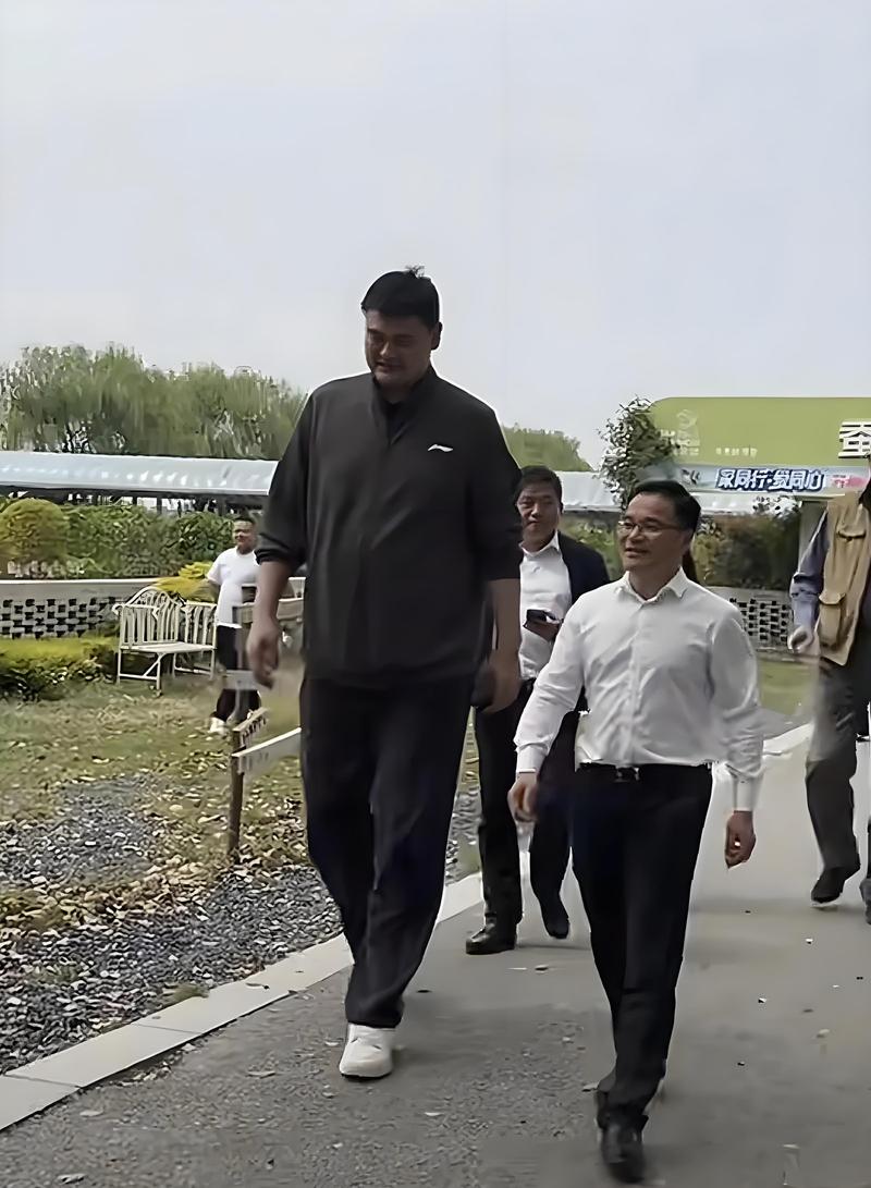 2025新澳门正版免费挂牌和45岁姚明训练照曝光与45岁姚明训练照曝光视频