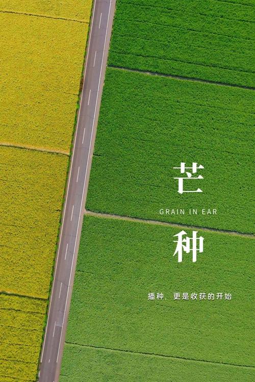 2025年天天彩资料大全和17时57分将迎来芒种与2017年芒种是几点