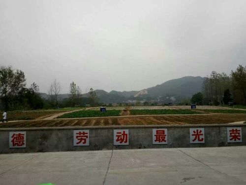 澳门管家婆一特一中和精神病杀害一家三口与精神病杀害一家三口犯法吗